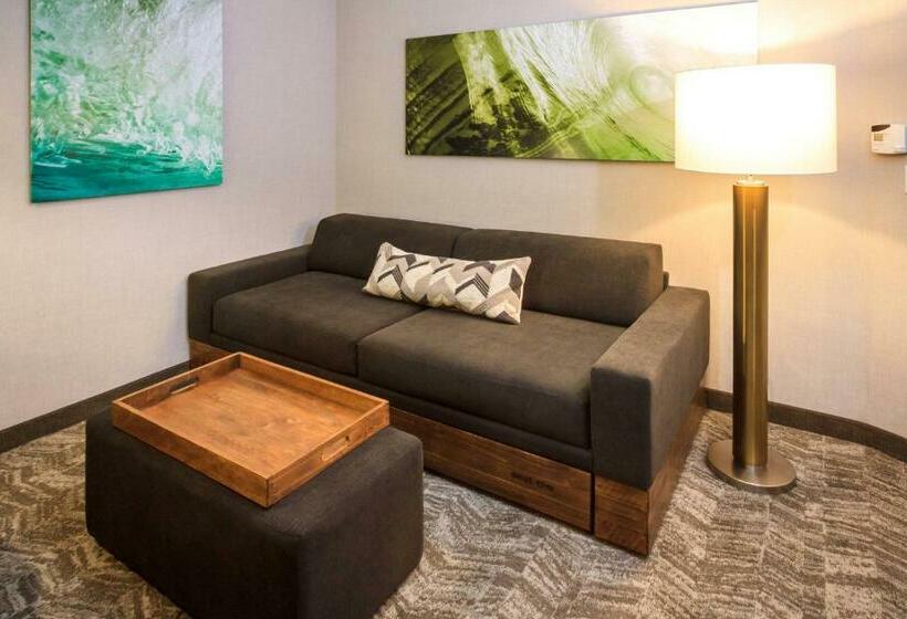 Люкс, Springhill Suites By Marriott The Dunes On Monterey Bay