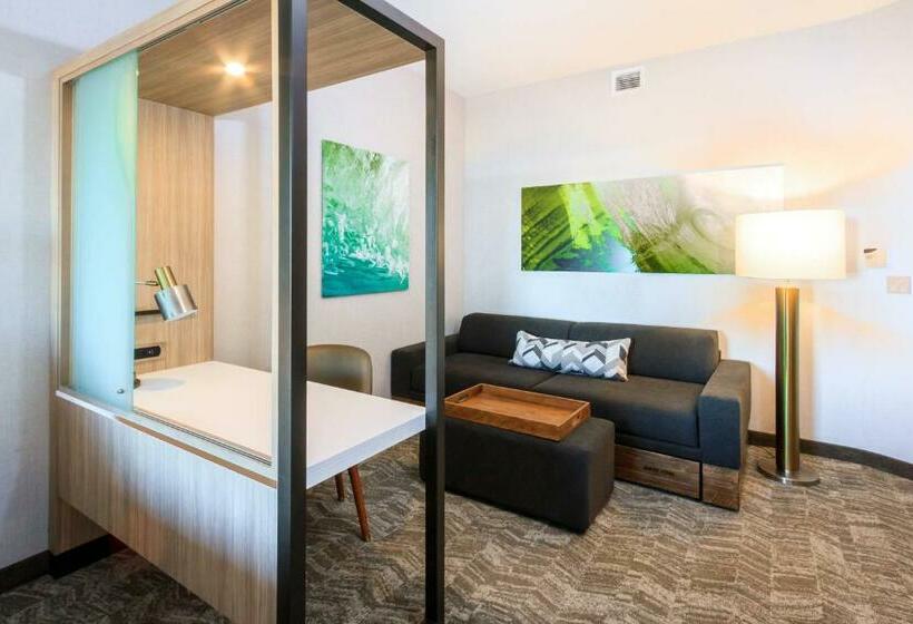 Люкс Кровать Кинг, Springhill Suites By Marriott The Dunes On Monterey Bay
