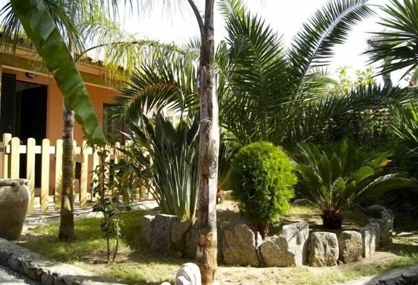 استودیوی استاندارد, Park Oasi Resort