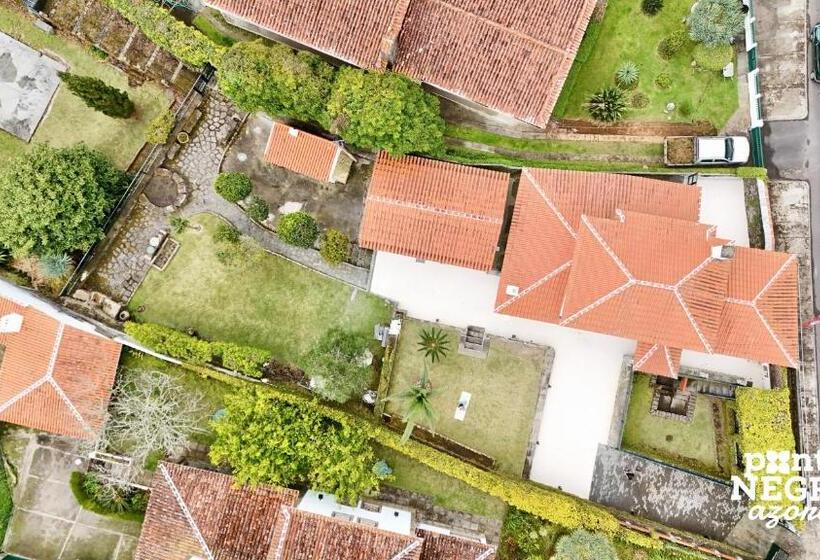 Люкс, Alojamento Quinta São José By Pontanegraazores