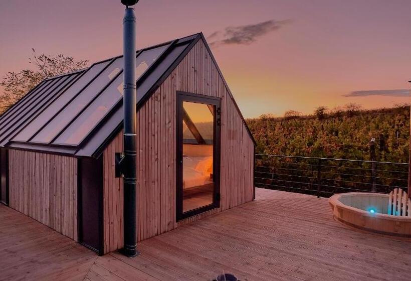 Апартаменты 1 Спальня, Campy Eco House • Eger