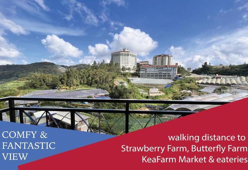 استودیو استاندارد با چشم‌انداز, Studio Apartment  Fantastic Mountain View