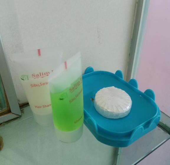 اتاق لوکس با تخت بزرگ, Salim Inn