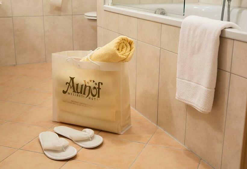 اتاق استاندارد یک نفره, Auhof