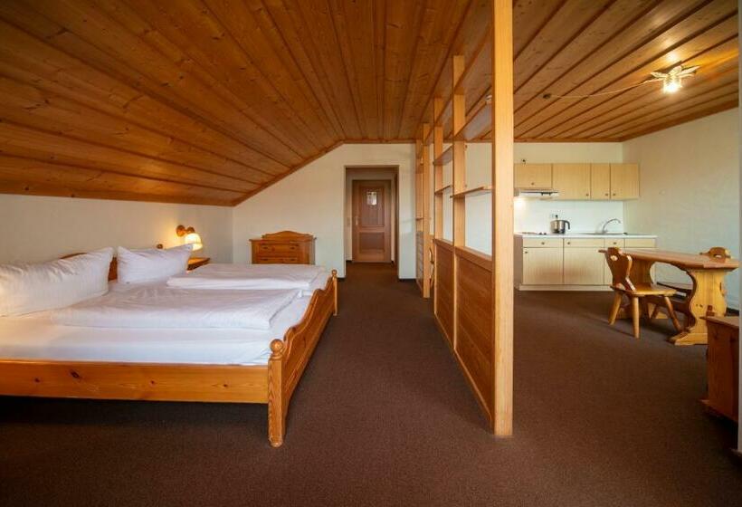 Апартаменты 1 Спальня, Seehotel Weissensee