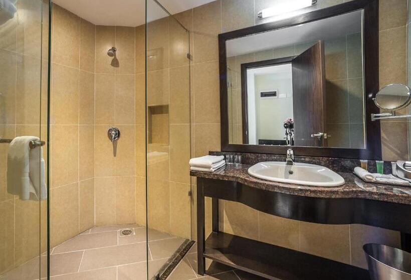 اتاق سوپریور, Acacia Premier