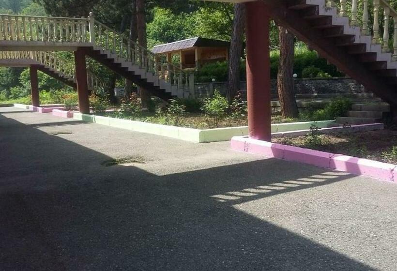 标准单人间, Odzun