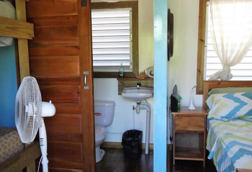 غرفة قياسية رباعية, The Funky Dodo Backpackers Hostel