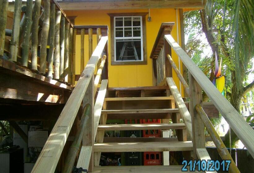 غرفة قياسية, The Funky Dodo Backpackers Hostel