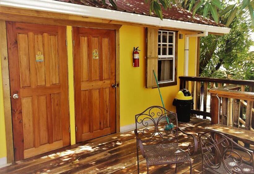 غرفة قياسية, The Funky Dodo Backpackers Hostel