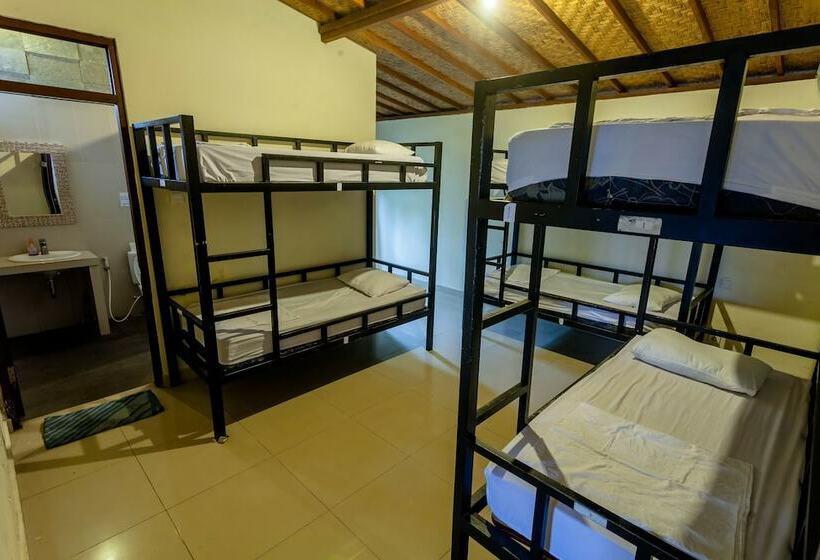 Кровать в Общей Комнате, In Da Lodge