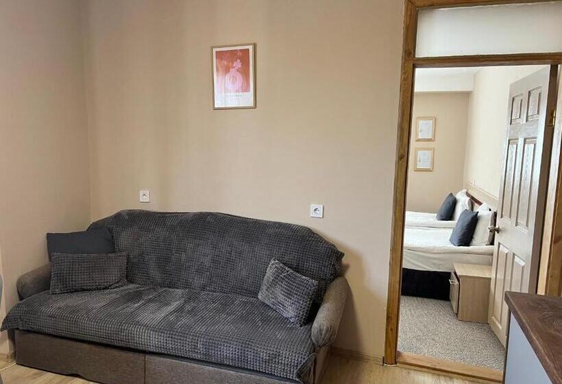 침실 2개 아파트, Family Hotel Central