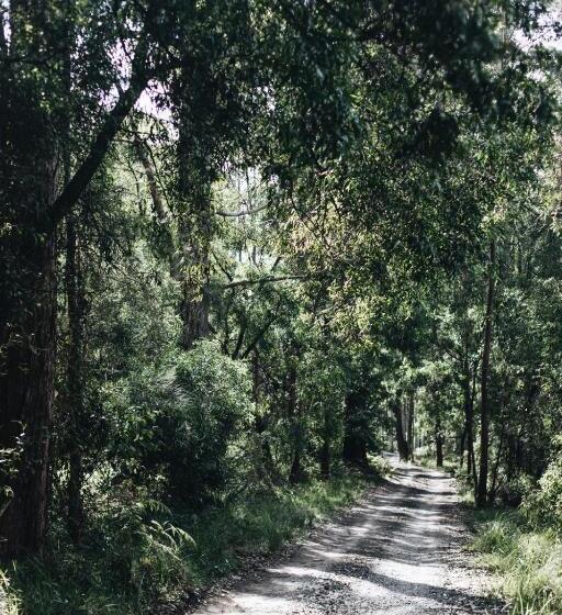 Студия Стандарт, Worrowing Jervis Bay