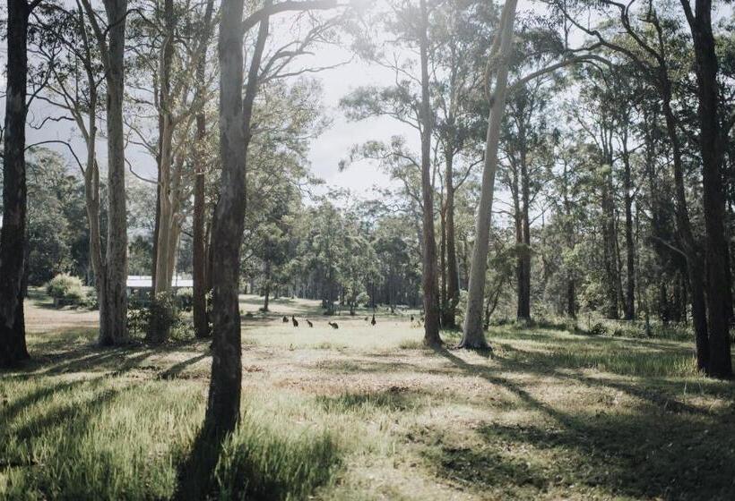 Студия Стандарт, Worrowing Jervis Bay