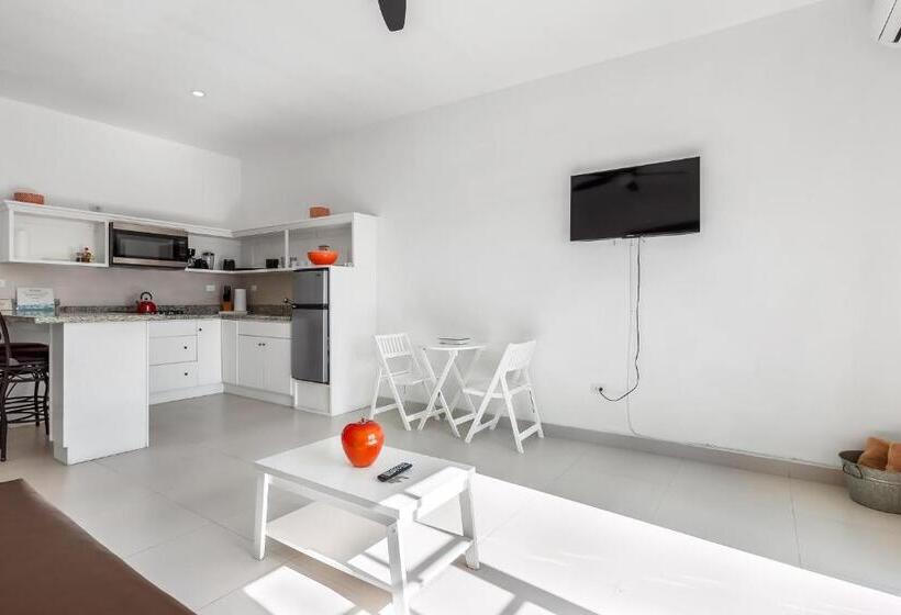 סוויטה, Jr Suite 4   Playa Arcangel