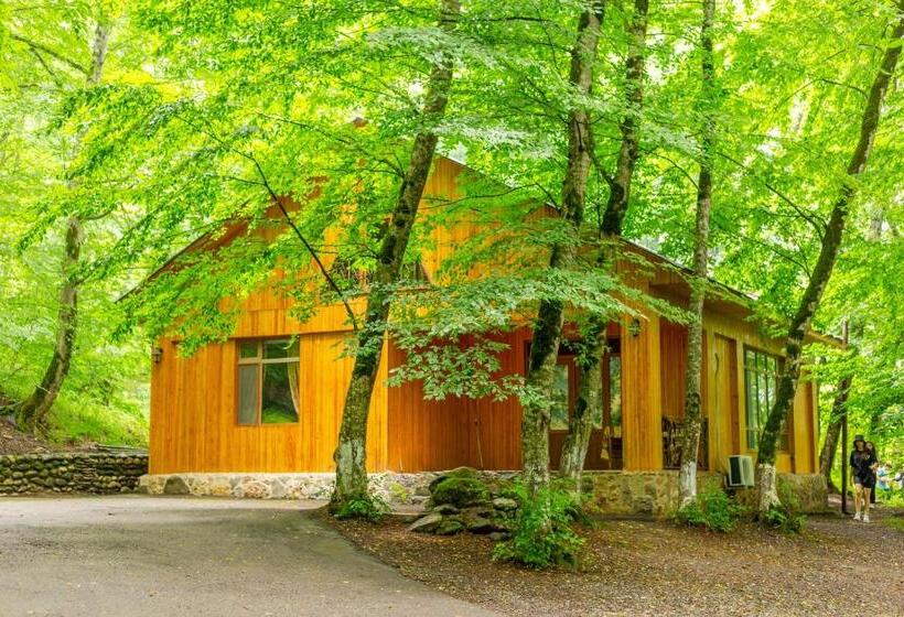 ویلای 3 خوابه, Aynur Resort