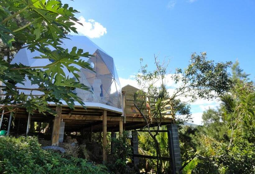 اتاق استاندارد, Bubble Dome Village