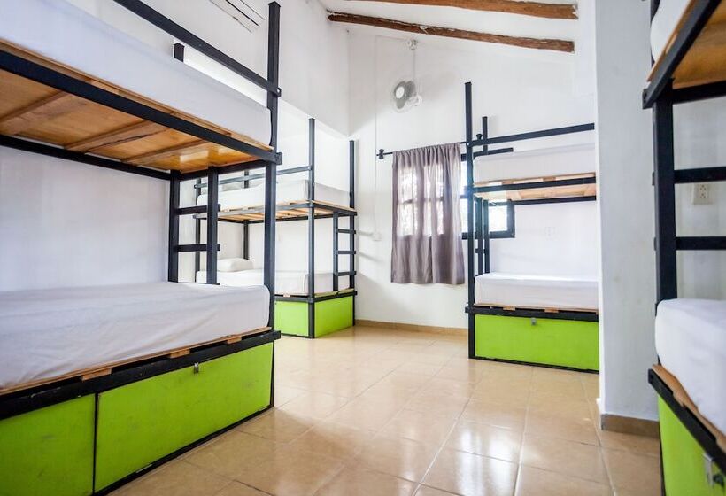 ルームシェアのワンベッド, Che Tulum Hostel & Bar Adults Only
