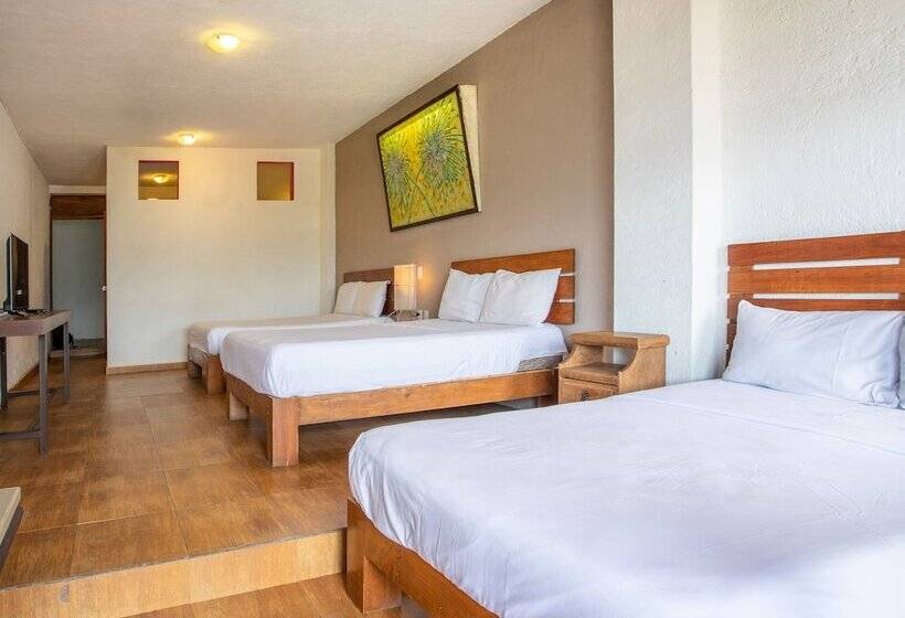 اتاق سوپریور, Santa Rosa