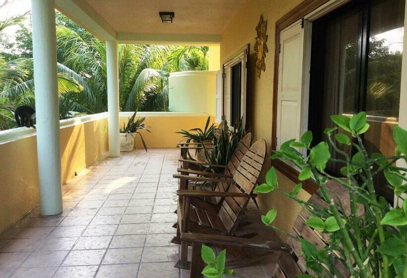 اتاق استاندارد با 2 تخت دوبل, Sea Eye Hotel   Tropical Building