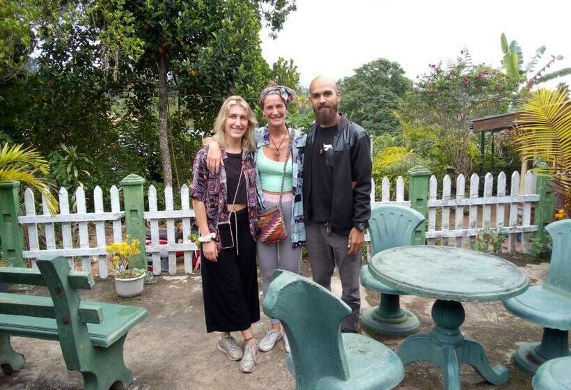اتاق لوکس خانوادگی, Tree Cool Resort