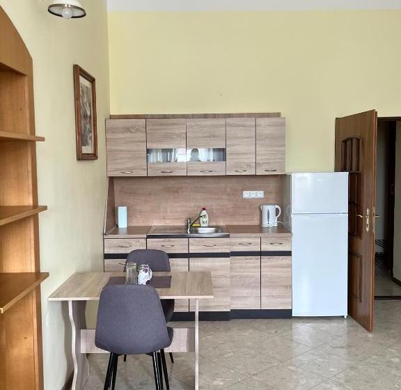 استودیوی استاندارد, Maxim