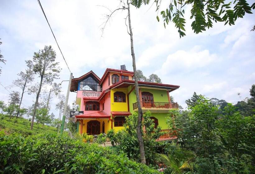 标准房带园景, Tea Forest Lodge