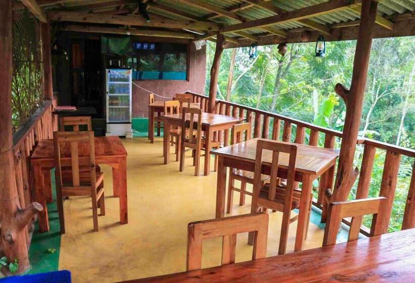 标准房带园景, Tea Forest Lodge