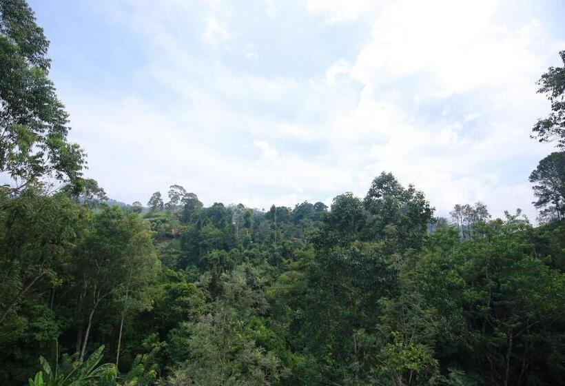 标准间带阳台, Tea Forest Lodge
