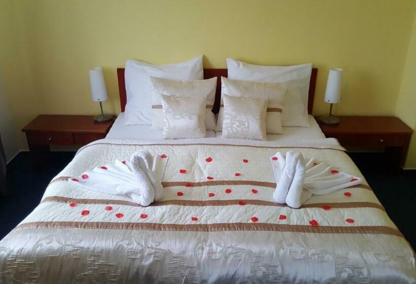اتاق سوپریور, Wellness Hotel Staré Město