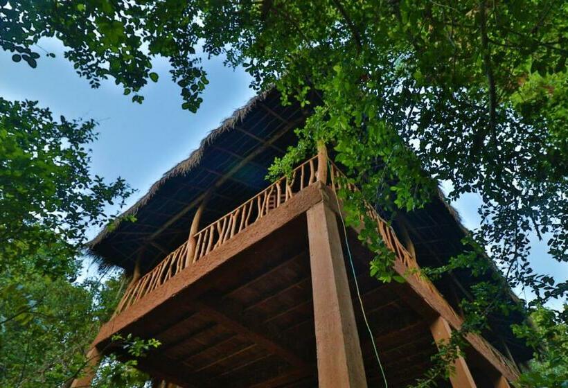 家庭间, The Other Corner Habarana
