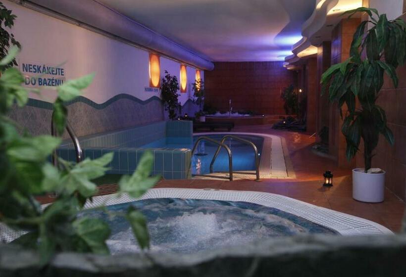 اتاق سوپریور, Wellness Hotel Staré Město