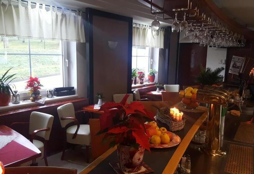 اتاق سوپریور, Wellness Hotel Staré Město