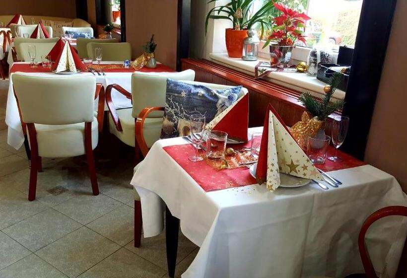 اتاق استاندارد, Wellness Hotel Staré Město