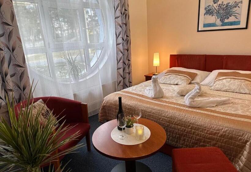 اتاق سوپریور, Wellness Hotel Staré Město