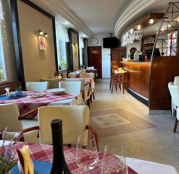 اتاق استاندارد یک نفره, Wellness Hotel Staré Město