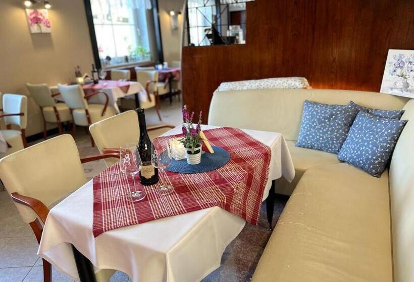 اتاق استاندارد, Wellness Hotel Staré Město