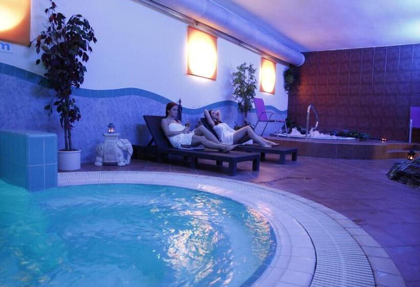 اتاق استاندارد, Wellness Hotel Staré Město