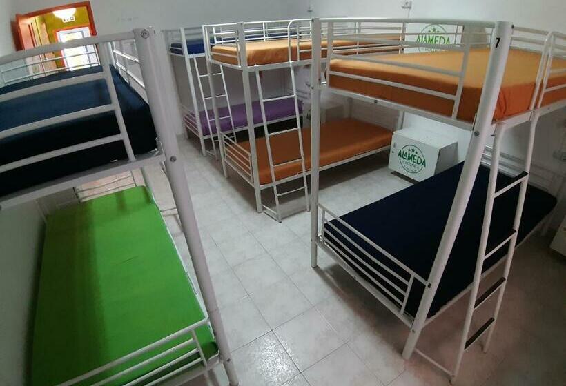 Кровать в Общей Комнате, Alameda Hostel