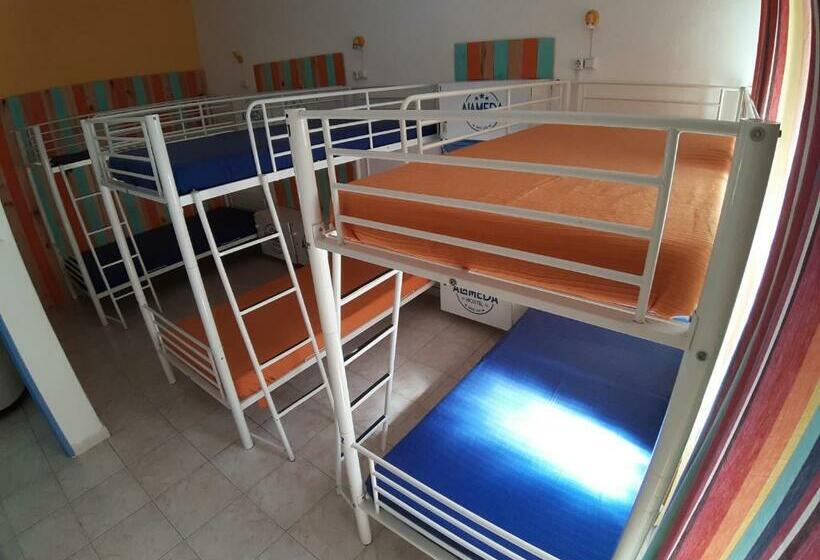 Кровать в Общей Комнате, Alameda Hostel