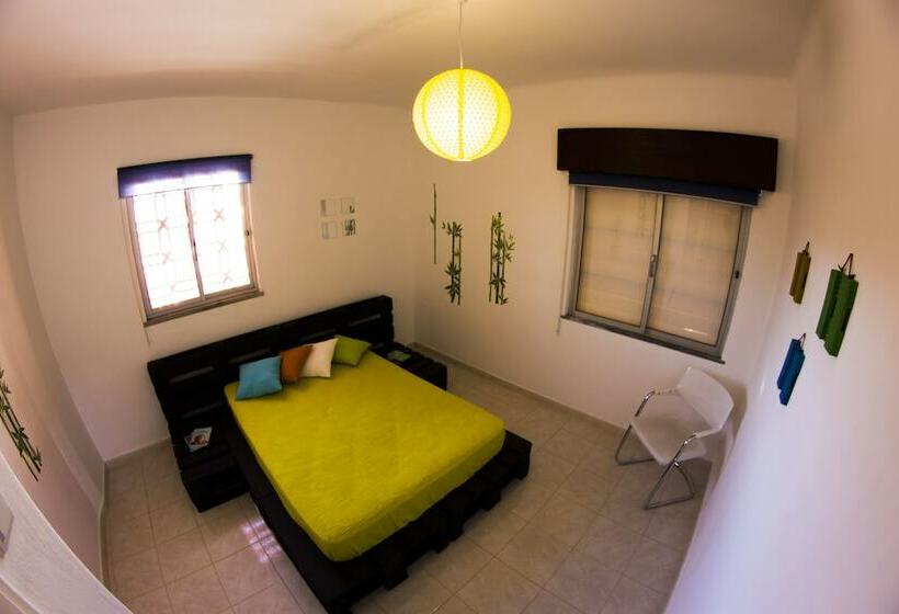 Номер Стандарт, Alameda Hostel