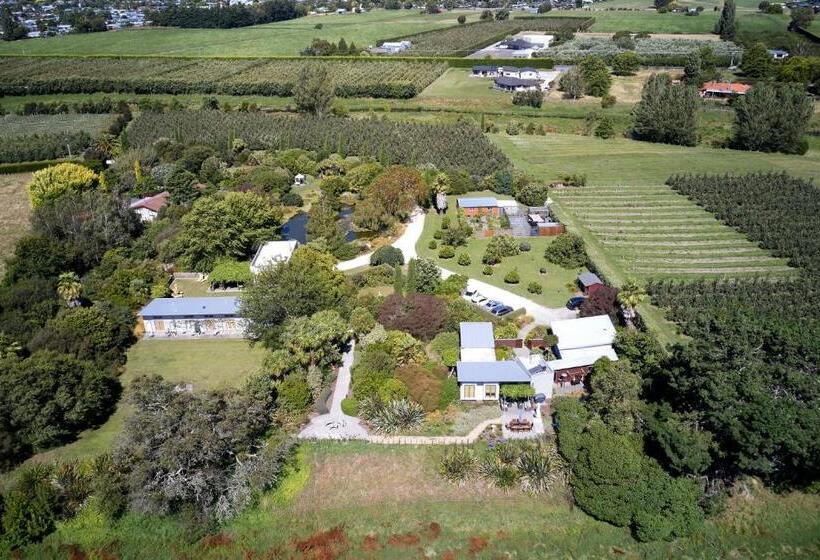 Номер Deluxe, Te Mata Views Resort