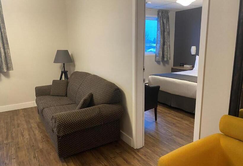 Студия Стандарт, Hôtel Centre Ville