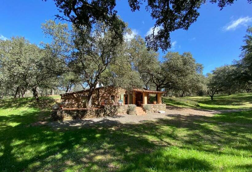１ベッドルームハウス, Valle Del Arroyo Casas Rurales  Bed & Breakfast