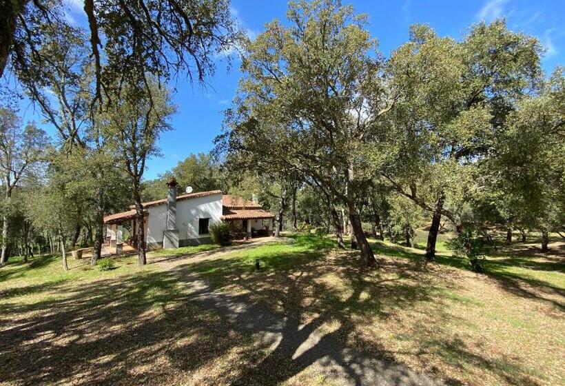 １ベッドルームハウス, Valle Del Arroyo Casas Rurales  Bed & Breakfast