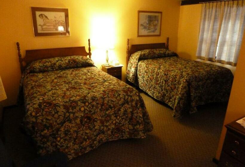 Номер Deluxe, Viking Motel