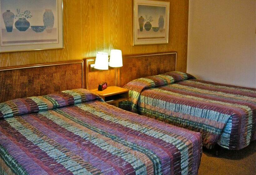 Номер Стандарт, Motel 101
