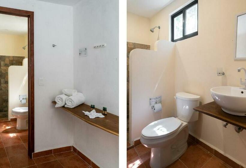 スタンダードルーム, Ecovergel Hotel Riviera Maya
