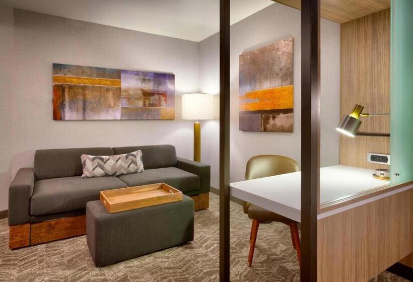 Люкс Кровать Кинг, Springhill Suites By Marriott Salt Lake City South Jordan