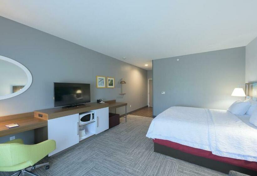 キングサイズベッドのエクゼクティブルーム, Hampton Inn Buffalohamburg